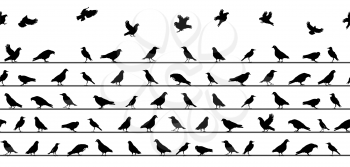Birds Sitting on Power Lines. Seamless Pattern. Vector Illustration. EPS10
