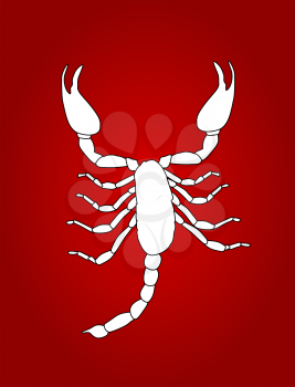 White Scorpion Silhouette Icon Vector Illustration EPS10