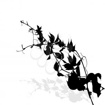 Silhouette of Plants. Vector Ilustration. EPS10