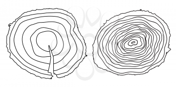 Stump. Muzzle. You can Determine the Age of the Tree. Vector Illustration.