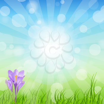Spring green background. vector illustration