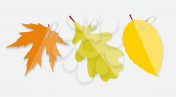 Shiny Autumn Natural Leaves Label with Clip Vector Illustration. EPS10