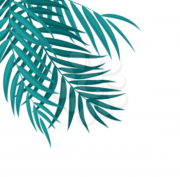 Beautifil Palm Tree Leaf  Silhouette Background Vector Illustration EPS10