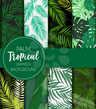 Beautifil Palm Tree Leaf  Silhouette Seamless Pattern Background Collection Set Vector Illustration EPS10