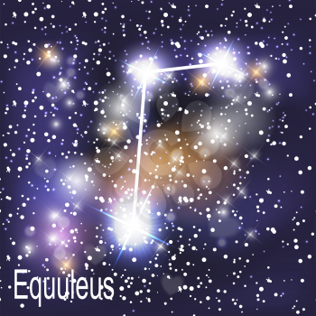 Equuleus Constellation with Beautiful Bright Stars on the Background of Cosmic Sky Vector Illustration. EPS10