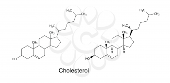 Structural formulas of cholesterol molecule, 2d Illustration, vector, eps 8