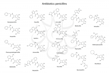 Structural chemical formulas of antibiotic penicillins - β-lactam group, 2d illustration, isolated on white background, vector, eps 8