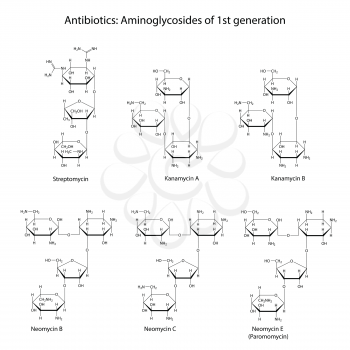 Structural chemical formulas of aminoglycoside antibiotics: streptomycin, kanamycin, neomycin, 2d illustration, isolated on white background, vector, eps8