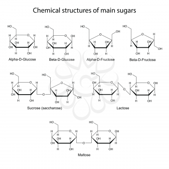 Chemical structures of main sugars: mono- and disaccharides, 2d illustration, isolated on white background, skeletal style, vector, eps 8