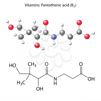 Pantothenic acid molecule - vitamin b5, structural chemical formula and model, 3d illustration, isolated on white background, balls & sticks, vector, eps 8
