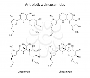 Lincosamides - chemical structures of lincomycin and clindamycin antibiotics, skeletal style 2d illustration, vector, eps 8