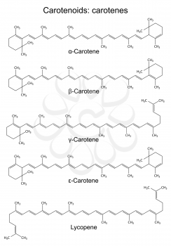 Structural chemical formulas of plant pigments - carotenoids carotenes, 2d illustration, vector, eps8