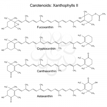 Structural chemical formulas of plant pigments - carotenoids xanthophylls - astaxanthin, canthaxanthin, cryptoxanthin, 2d illustration, vector, eps8