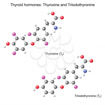 Structural chemical model of  thyroid hormones, 3d illustration, isolated, vector, eps 8