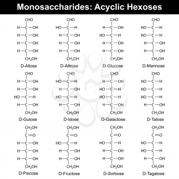 Main monosaccharides - hexoses, aldoses and ketoses, molecular structural chemical formulas, 2d vector, eps 8