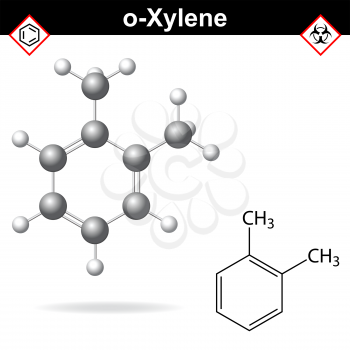 Xylene molecule - structural chemical formula and model of ortho-xylene, 2d and 3d isolated on white background, vector, eps 8