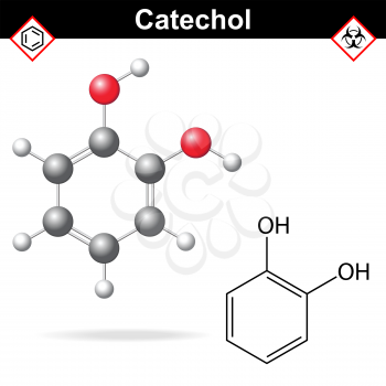 Catechol - chemical formula and model, 2d and  3d vector isolated on white background, ball and stick style, eps 8
