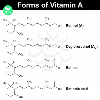 Forms of vitamin A - retinol, dehydroretinol, retinal and  retinoic acid, molecular formulas, 2d vector, eps 8