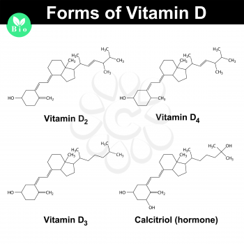 Forms of vitamin D - cholecalciferol, ergocalciferol, dihydrotachysterol, calcitriol, molecular formulas, 2d vector, eps 8
