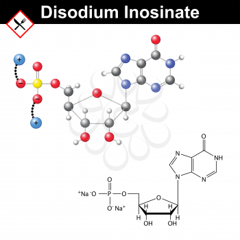 Disodium inosinate flavor enhancer, food additive, umami taste, structural chemical formula and 3d vector model, eps 8