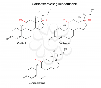 Structural chemical formulas of corticosteroids (glucocorticoids): cortisol, cortisone, corticosterone with marked variable fragments, 2D illustration, vector, isolated on white background