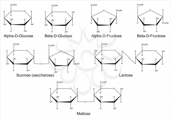 Structural formulas of the main cyclic monosaccharides and disaccharides. Isolated 2d Illustration