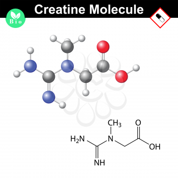 Creatine formula, chemical structure, molecule of muscle metabolism, 2d & 3d vector, eps 8