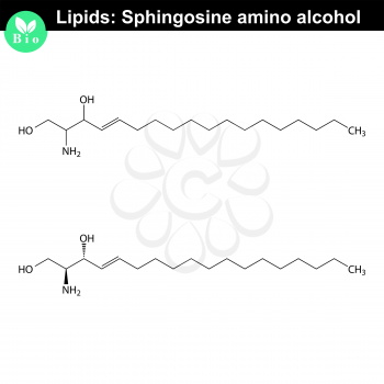 Sphingosine alcohol chemical structure, molecular structures of lipids, isolated on white background, 2d vector, eps 8