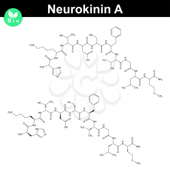 Neurokinin A molecular structure, 2d illustration, vector, eps 8