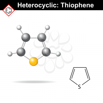 Thiophene five-membered heterocyclic ring, molecular structure, 2d and 3d vector illustration, isolated on white background, eps 8
