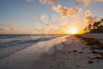 Sunrise over Atlantic ocean coast with palm trees silhouettes. Beach landscape, Hispaniola island, Dominican republic