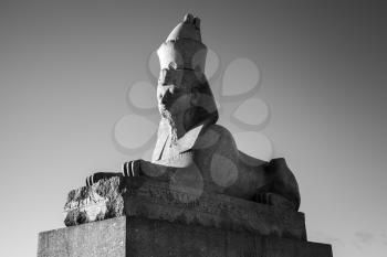 Granite sphinx. Black and white photo of the ancient monument. Landmark of Neva river coast in St.Petersburg, Russia