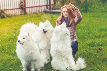 Happy Caucasian girl plays with white Samoyed dogs in park, outdoor portrait