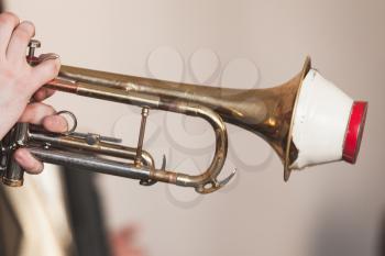 Live music background. Trumpet with straight mute in trumpeter hands.