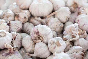 White garlic bulbs lay on a counter in a marketplace, close-up photo 