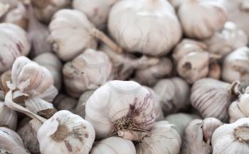 Pile of white garlic bulb laying on a counter in a marketplace, close-up photo 