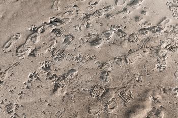 Footprints in wet sand, beach ground background texture