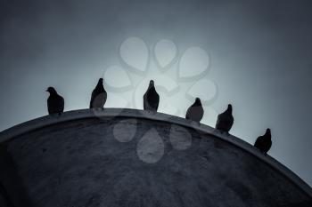 Doves sit on the edge of roof under dramatic sky, dark stylized photo, blue tonal filter effect