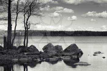 Monochrome coastal landscape, leafless trees and stones on still lake coast in Finland