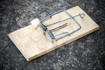 Old mousetrap with fat bait stands on concrete floor