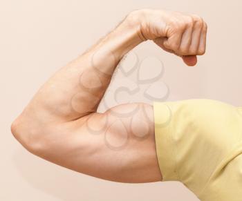 Strong male arm shows biceps. Close-up photo