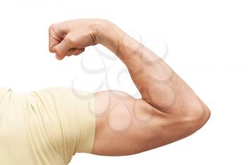 Strong male arm shows biceps. Closeup photo isolated on white