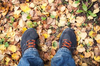 Male feet in sport shoes standing on yellow falling leaves in autumn park