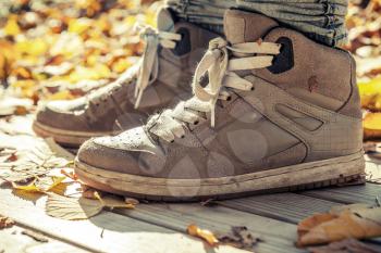 Warm sneakers, sporty shoes standing wooden floor in autumnal park, warm tonal correction, retro style photo filter