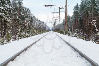 Empty railroad in winter forest perspective background