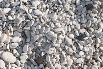 Gray pebble on a sea coast, closeup background texture
