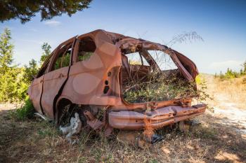 Abandoned rusted car body with growing grass inside stands in summer garden