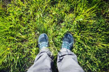 Male feet in blue sport shoes standing on bright green summer grass