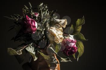 Bouquet of dried red and white roses, closeup low key photo over dark background, soft selective focus