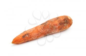 Old carrot isolated